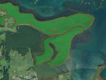 Une nouvelle cartographie des mangroves françaises